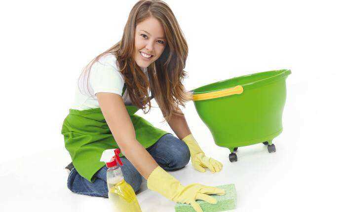 Профессиональные средства для мытья дома от глистов
