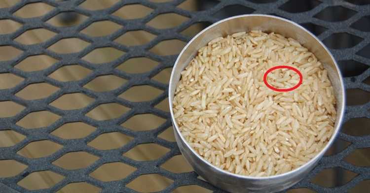 Какие вредные последствия могут возникнуть от употребления риса с личинками?