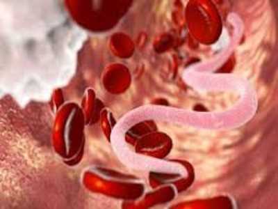 Какие показатели крови могут говорить о наличии паразитов