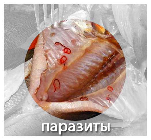 3. Глубокая заморозка рыбы