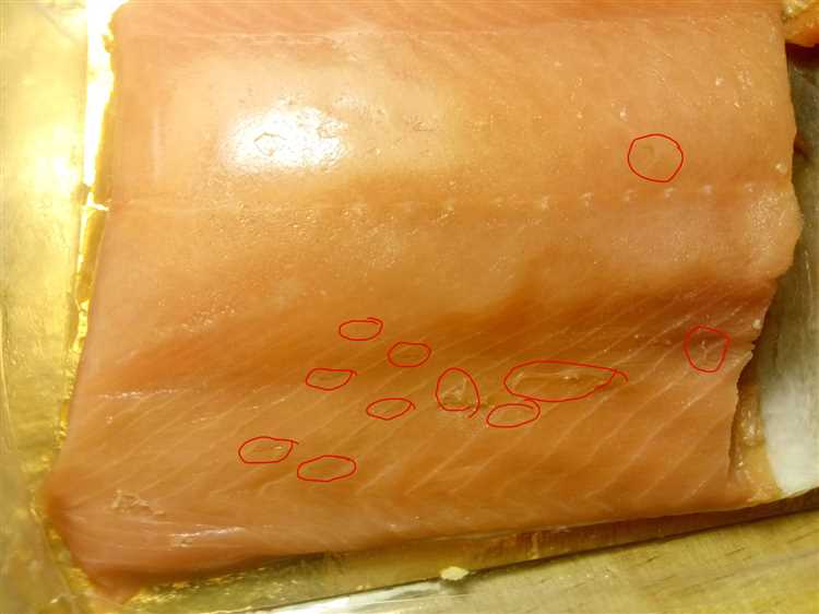 Есть ли в красной рыбе в мясе глисты?