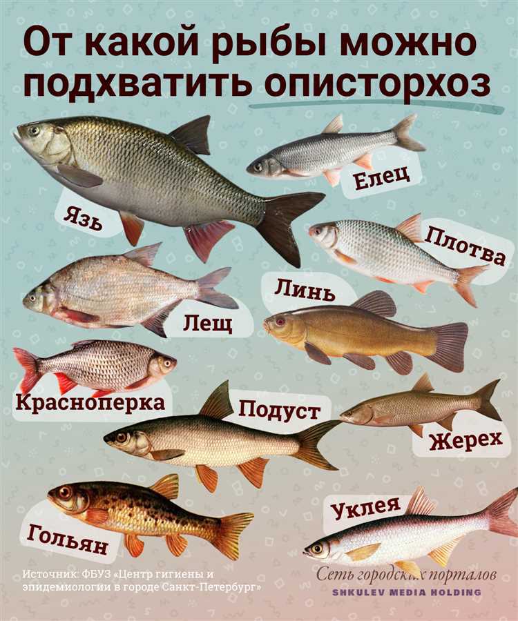 Места обитания описторхоза в рыбе