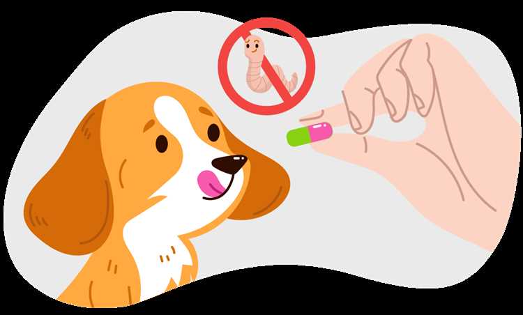 Как не заразиться глистами от собаки?