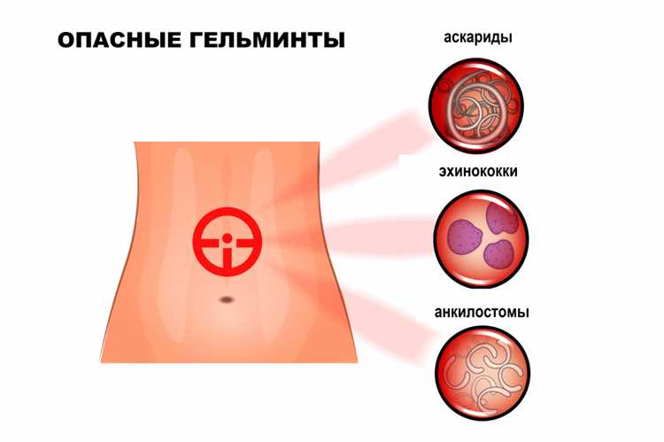 Как по общему анализу крови определить паразитов в организме?