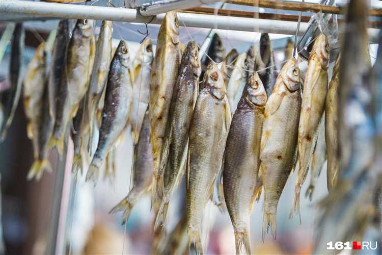 Опасная болезнь рыбы: все, что нужно знать об описторхозе
