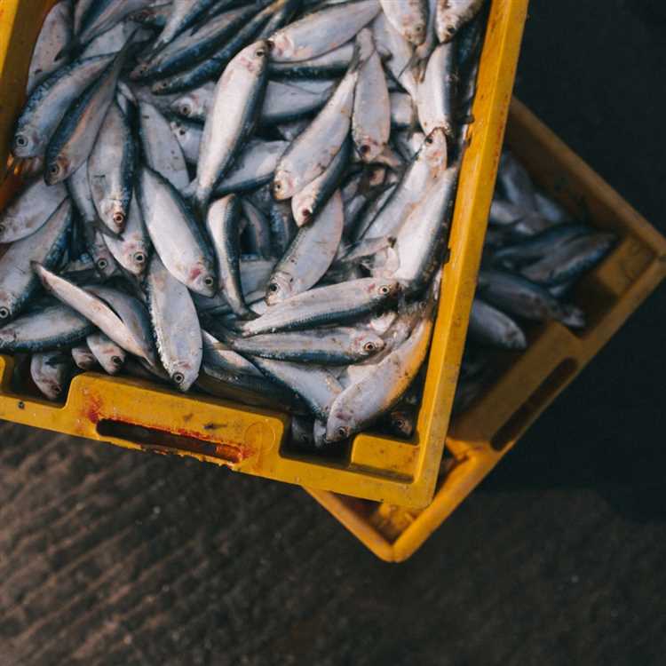 Какие меры предосторожности следует принять при приготовлении рыбы?