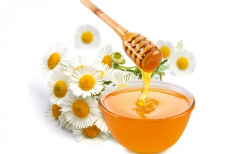 Полезные свойства воды с медом при глистной инвазии